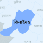 ঝিনাইদহ জেলা