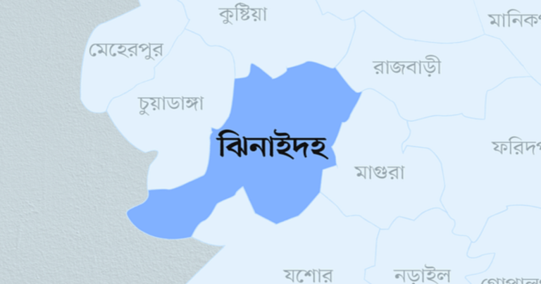 ঝিনাইদহ জেলা