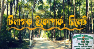 টিলাগড়