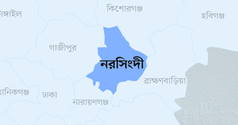 নরসিংদী জেলা