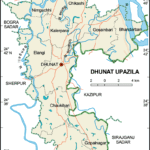 ধুনট উপজেলার ইউনিয়ন সমূহ