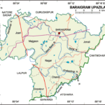 বড়াইগ্রাম উপজেলার ইউনিয়ন সমূহ
