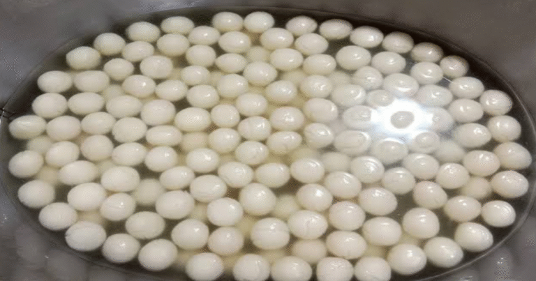 ঝালকাঠির রসগোল্লা
